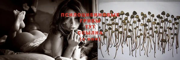 ПСИЛОЦИБИНОВЫЕ ГРИБЫ Володарск