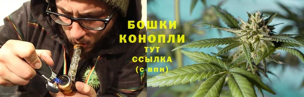 шишки Волоколамск