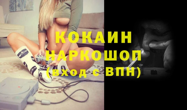 шишки Волоколамск