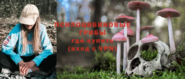 ПСИЛОЦИБИНОВЫЕ ГРИБЫ Володарск